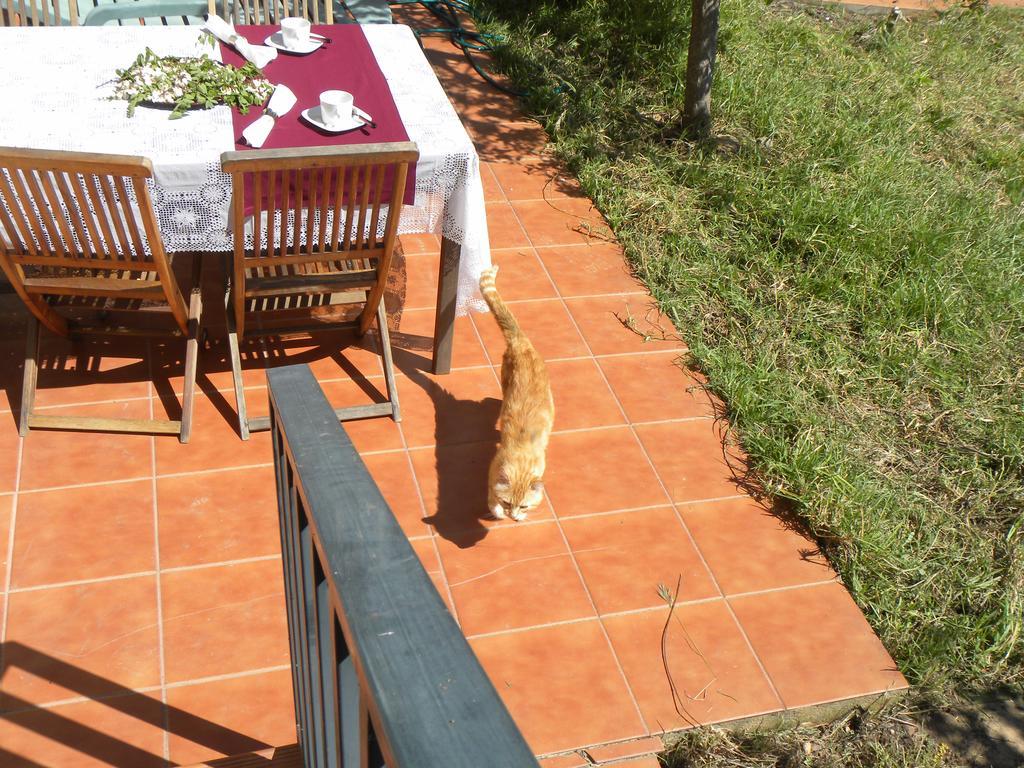 Caces El Jardin De Los Gatos Apartament מראה חיצוני תמונה